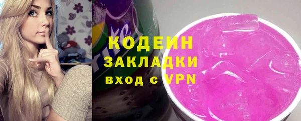 шишки Белокуриха