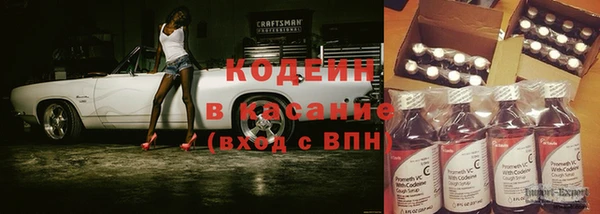 шишки Белокуриха
