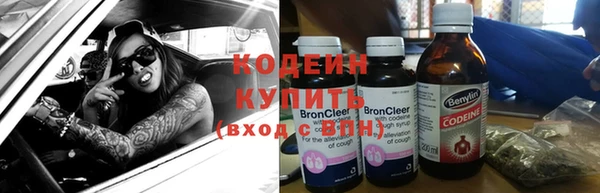 шишки Белокуриха