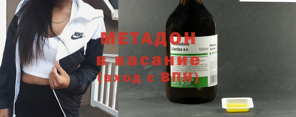 шишки Белокуриха