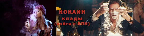 шишки Белокуриха