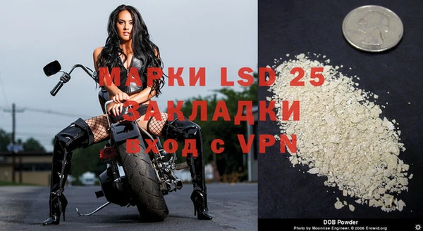 ГАЛЛЮЦИНОГЕННЫЕ ГРИБЫ Беломорск