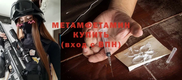 шишки Белокуриха