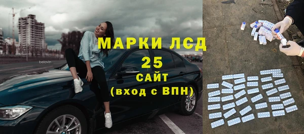 шишки Белокуриха
