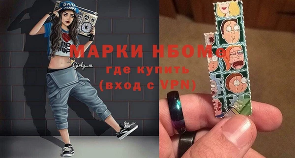 шишки Белокуриха