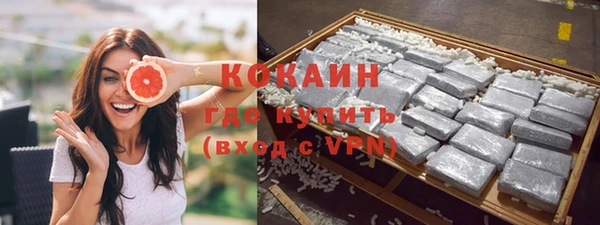 шишки Белокуриха