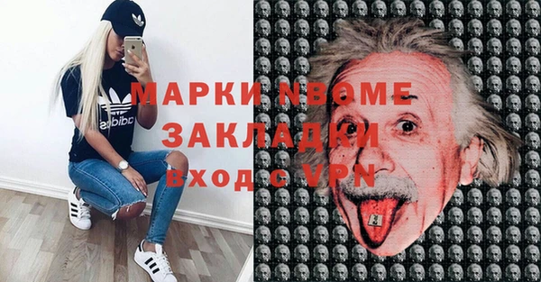 шишки Белокуриха